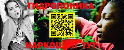 спиды Камышлов