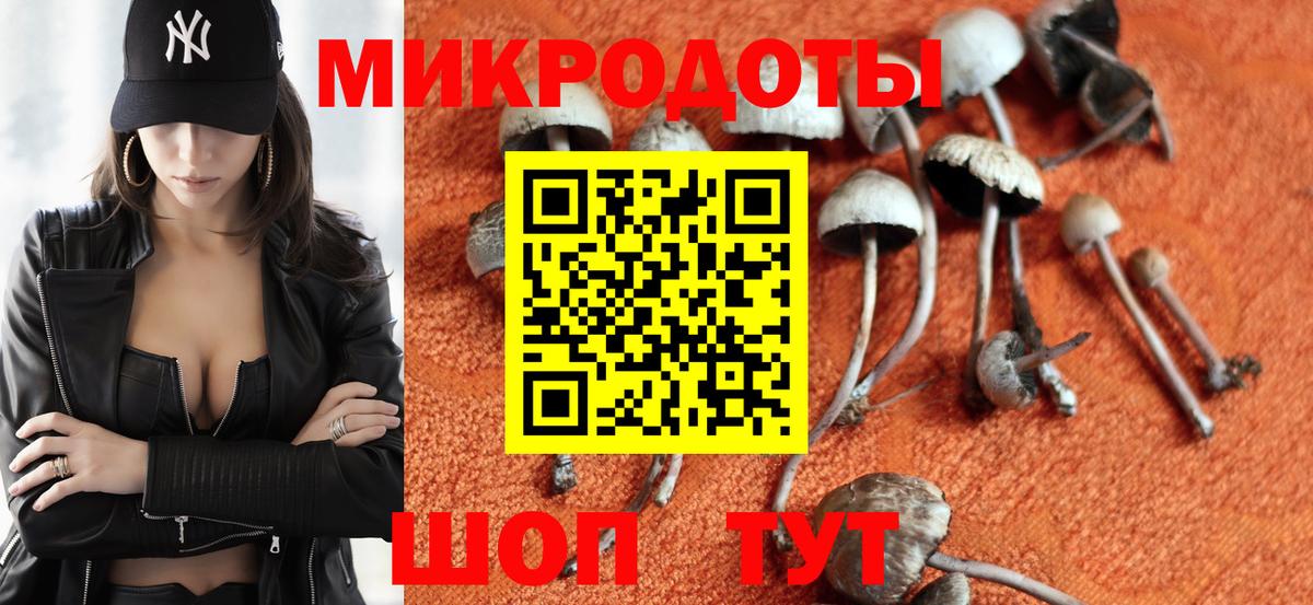 Лениногорск  Псилоцибиновые грибы MAGIC MUSHROOMS  Вход с VPN 