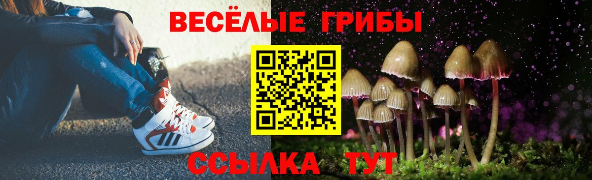 Галлюциногенные грибы мицелий Лениногорск